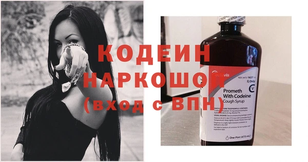 ПСИЛОЦИБИНОВЫЕ ГРИБЫ Тавда