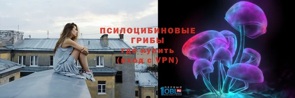 ПСИЛОЦИБИНОВЫЕ ГРИБЫ Верхнеуральск