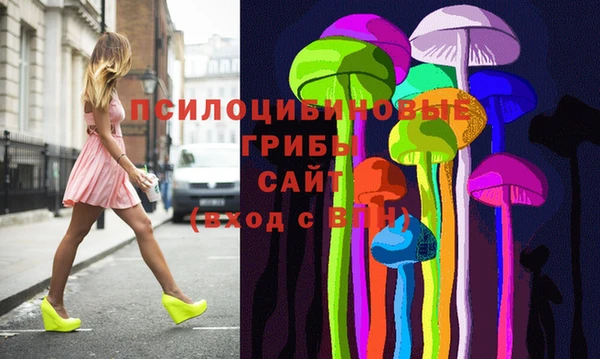 крисы Верея
