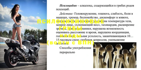 ПСИЛОЦИБИНОВЫЕ ГРИБЫ Верхнеуральск