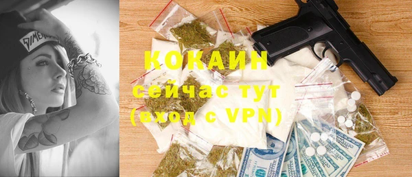 крисы Верея