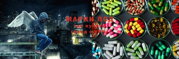 крисы Верея