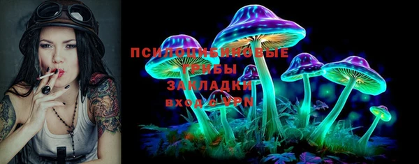 крисы Верея
