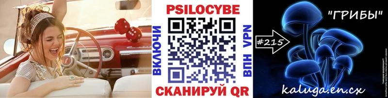 Псилоцибиновые грибы Psilocybine cubensis  где купить   Старая Русса 